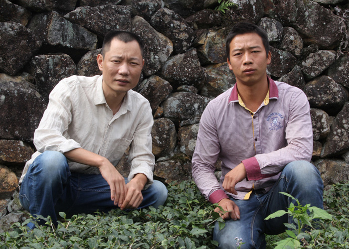 Tie Guan Yin (Ti Kwan Yin) Oolong Tea