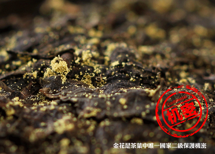 Anhua Dark Tea – Brick Tea