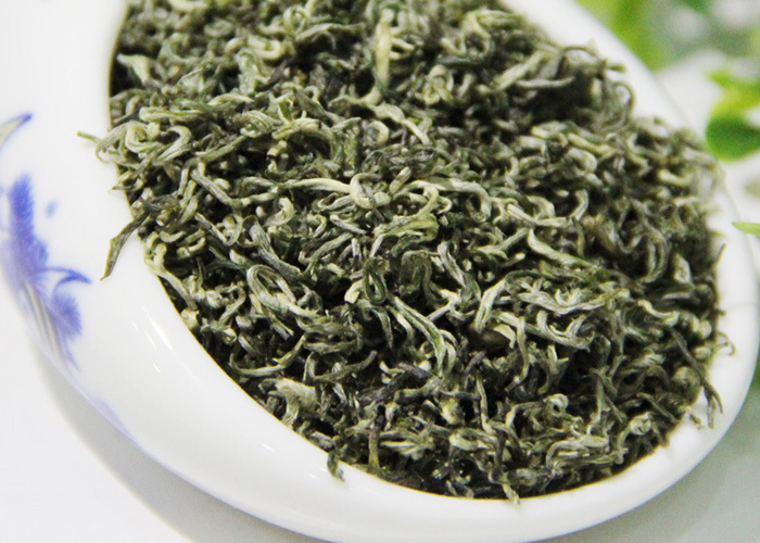 Du Yun Mao Jian Green Tea