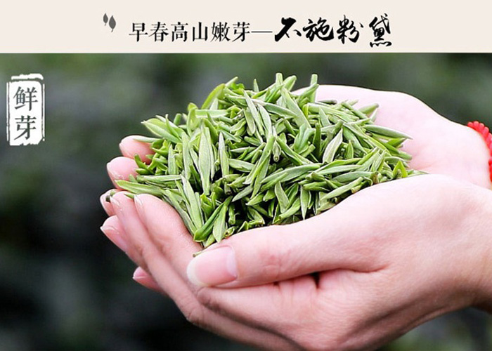 Du Yun Mao Jian Green Tea