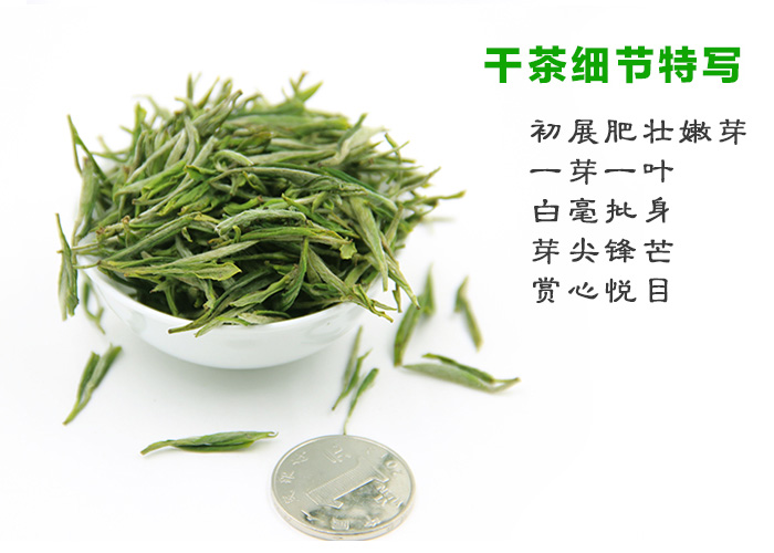 Jing Ting Lu Xue Green Tea