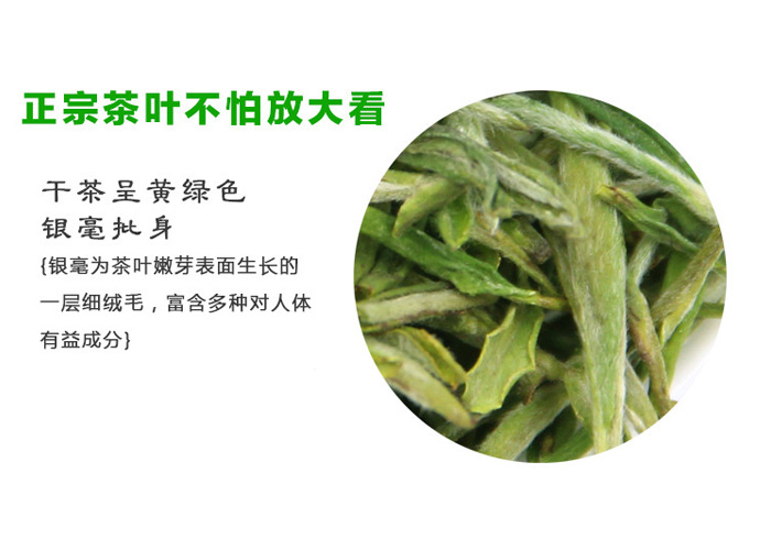 Jing Ting Lu Xue Green Tea