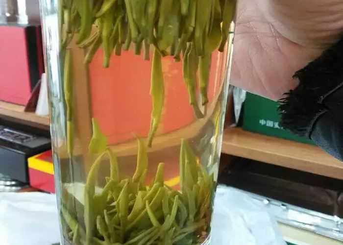 Jing Ting Lu Xue Green Tea