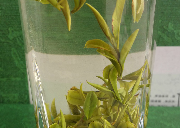 Tian Mu Qing Ding (Heavenly Blue Peaks) Green Tea