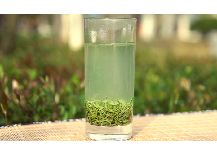 Xin Yang Mao Jian (Fur Tips) Green Tea