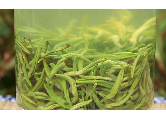 Xin Yang Mao Jian (Fur Tips) Green Tea