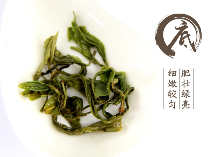 Xiu Ning Song Luo Green Tea