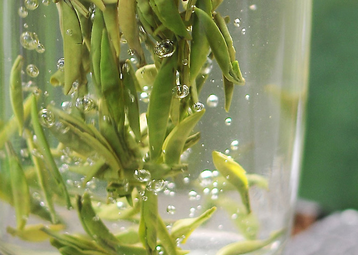 Zhu Ye Qing (Green Bamboo) Green Tea