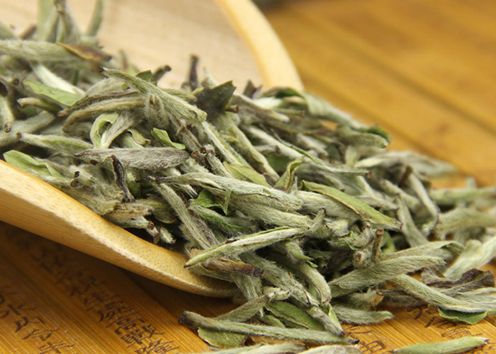 Bai Hao Yin Zhen (Silver Needle White Tea)