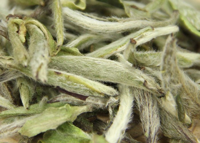 Bai Hao Yin Zhen (Silver Needle White Tea)