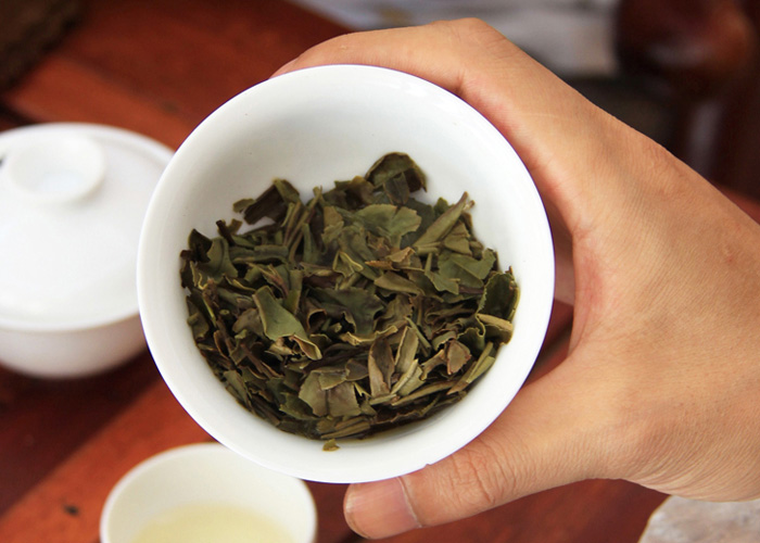 Bai Mu Dan (White Peony Tea)