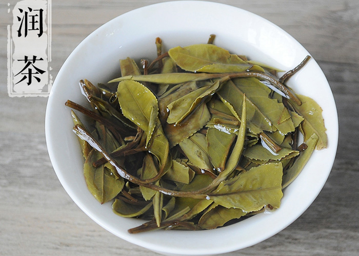 Bai Mu Dan (White Peony Tea)