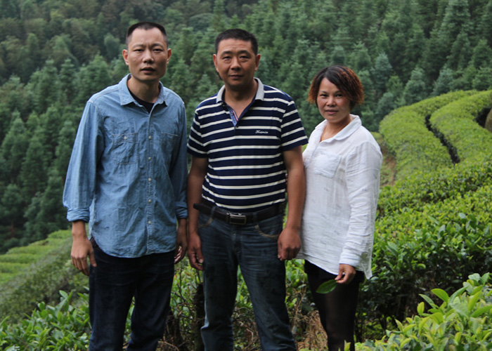 Da Hong Pao (Big Red Robe) Wuyi Rock Oolong