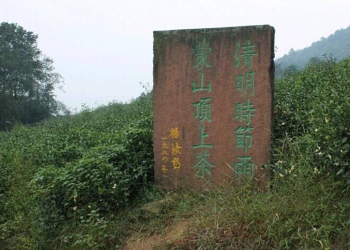 Jun Shan Yin Zhen (Silver Needle Tea)