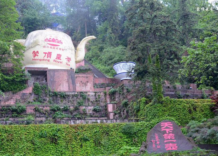 Jun Shan Yin Zhen (Silver Needle Tea)